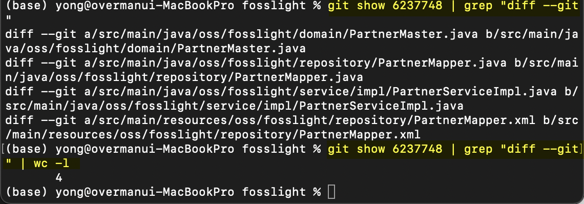 git_show_diff.png